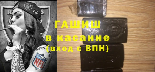 гидра Горняк