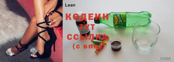 гидра Горняк