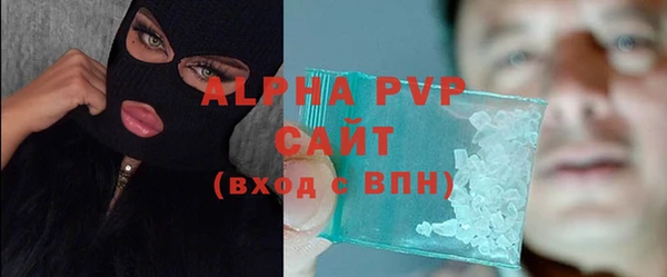 спайс Вяземский