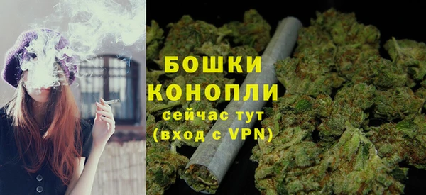 гидра Горняк