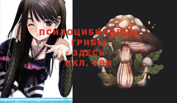 спайс Вяземский