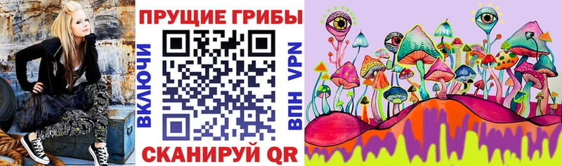 Псилоцибиновые грибы Cubensis Дрезна