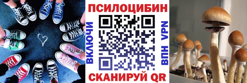 ОМГ ОМГ как зайти  Дрезна  Псилоцибиновые грибы мухоморы 